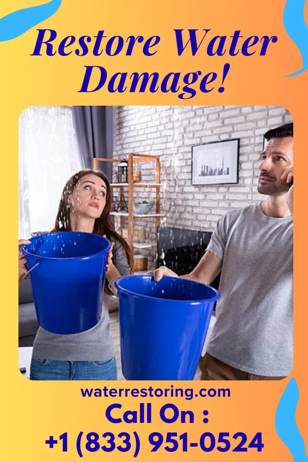 water restoration First Extraction Services Mount Dora