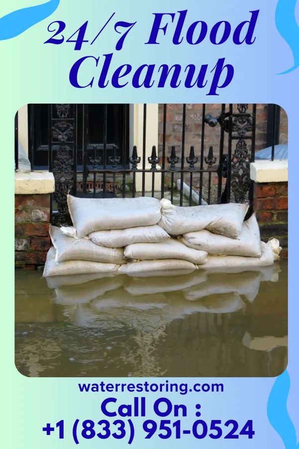 24/7 Flood Cleanup in Mount Dora, FL