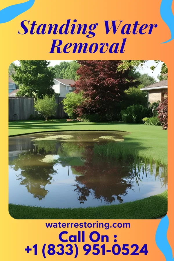 Standing Water Removal in Mount Dora, FL